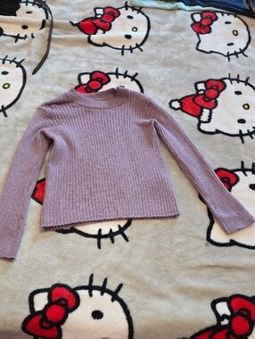 Zara Lavender Ribbed Turtleneck Sweater